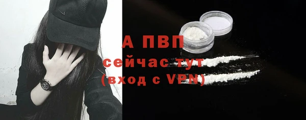 эйфоретик Магас