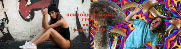 эйфоретик Магас